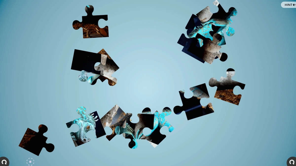 games jigsaw