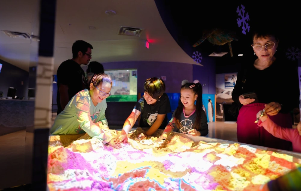 Creative and Fun Educational Activities for Students