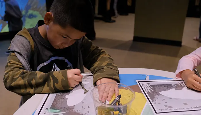 Boy coloring an activity sheet