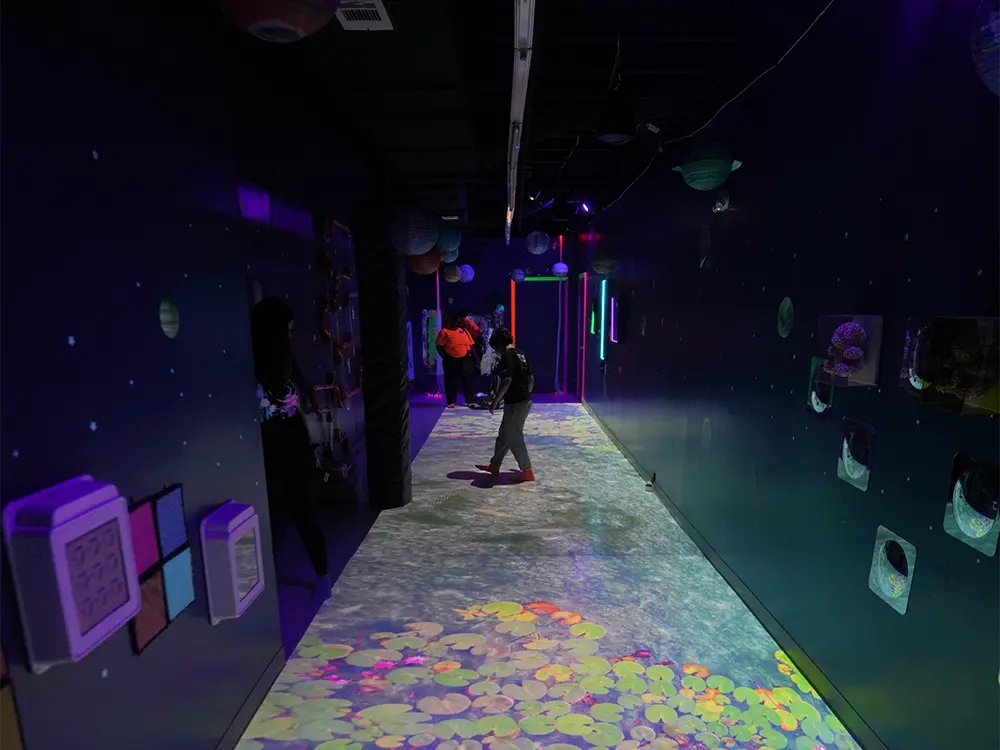 Hallway projection system