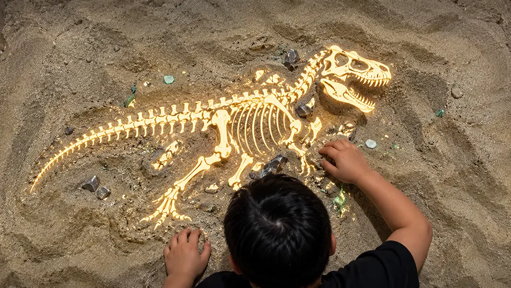 Sandbox Skeleton Level 2 interactive sandbox preview with a child excavating a glowing skeleton in the sand
